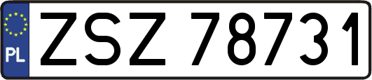 ZSZ78731
