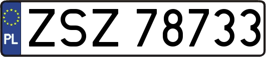 ZSZ78733
