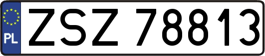ZSZ78813