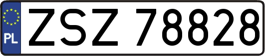 ZSZ78828