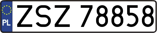 ZSZ78858
