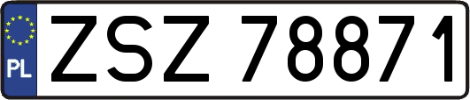 ZSZ78871