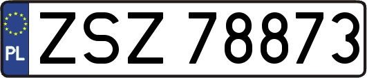 ZSZ78873