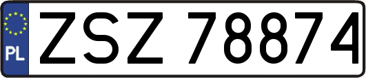 ZSZ78874