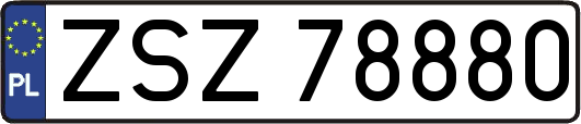 ZSZ78880