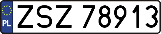 ZSZ78913