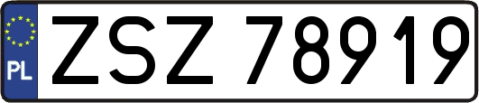 ZSZ78919