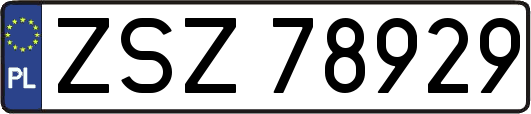 ZSZ78929