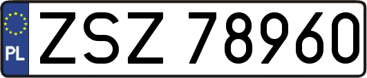 ZSZ78960