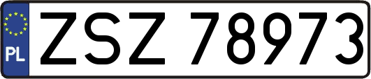 ZSZ78973