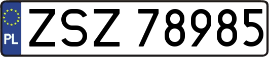 ZSZ78985