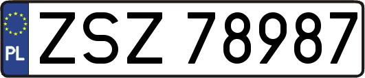 ZSZ78987