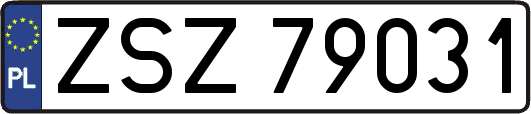 ZSZ79031