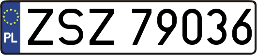 ZSZ79036