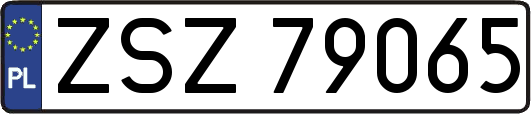 ZSZ79065