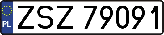 ZSZ79091