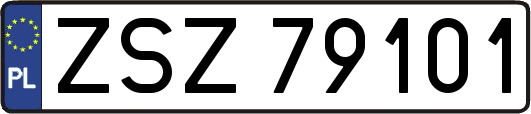 ZSZ79101