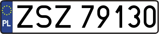 ZSZ79130