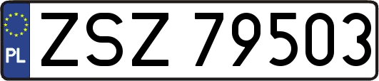 ZSZ79503