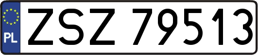 ZSZ79513