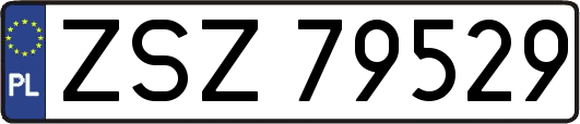 ZSZ79529