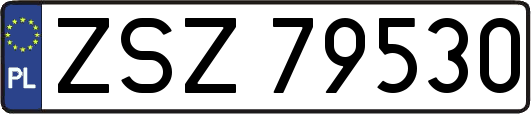 ZSZ79530