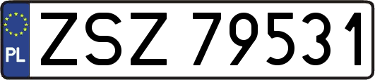 ZSZ79531