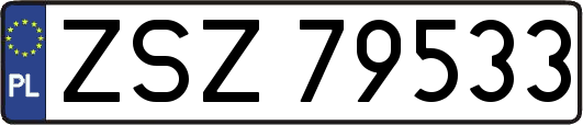 ZSZ79533