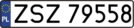 ZSZ79558