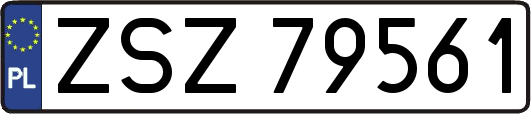 ZSZ79561