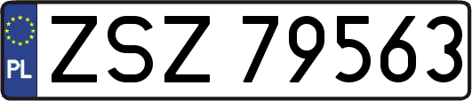 ZSZ79563