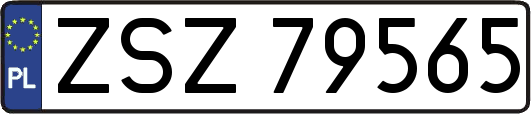ZSZ79565
