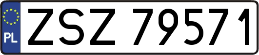 ZSZ79571