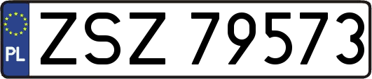ZSZ79573