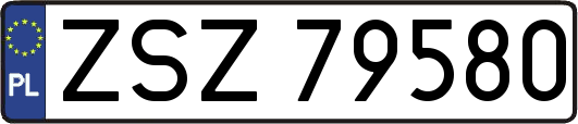 ZSZ79580