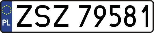 ZSZ79581