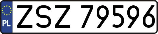 ZSZ79596