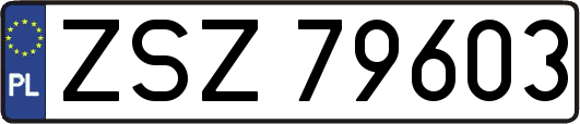 ZSZ79603