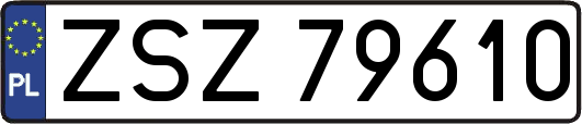 ZSZ79610