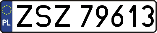 ZSZ79613