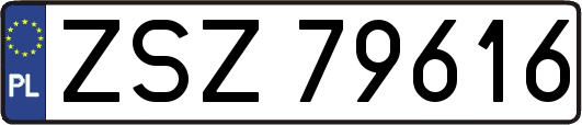 ZSZ79616