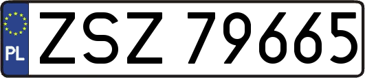 ZSZ79665