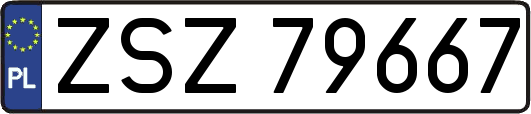 ZSZ79667