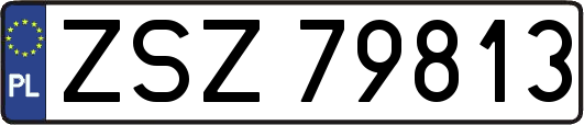 ZSZ79813