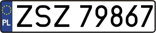 ZSZ79867