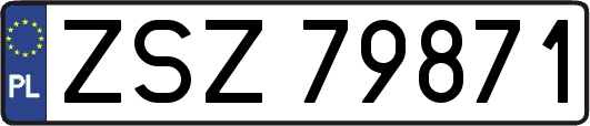 ZSZ79871