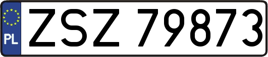 ZSZ79873