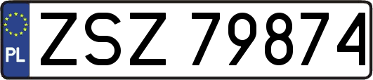 ZSZ79874
