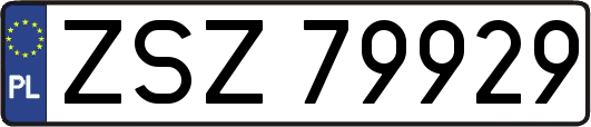 ZSZ79929