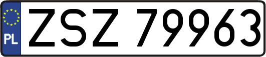ZSZ79963